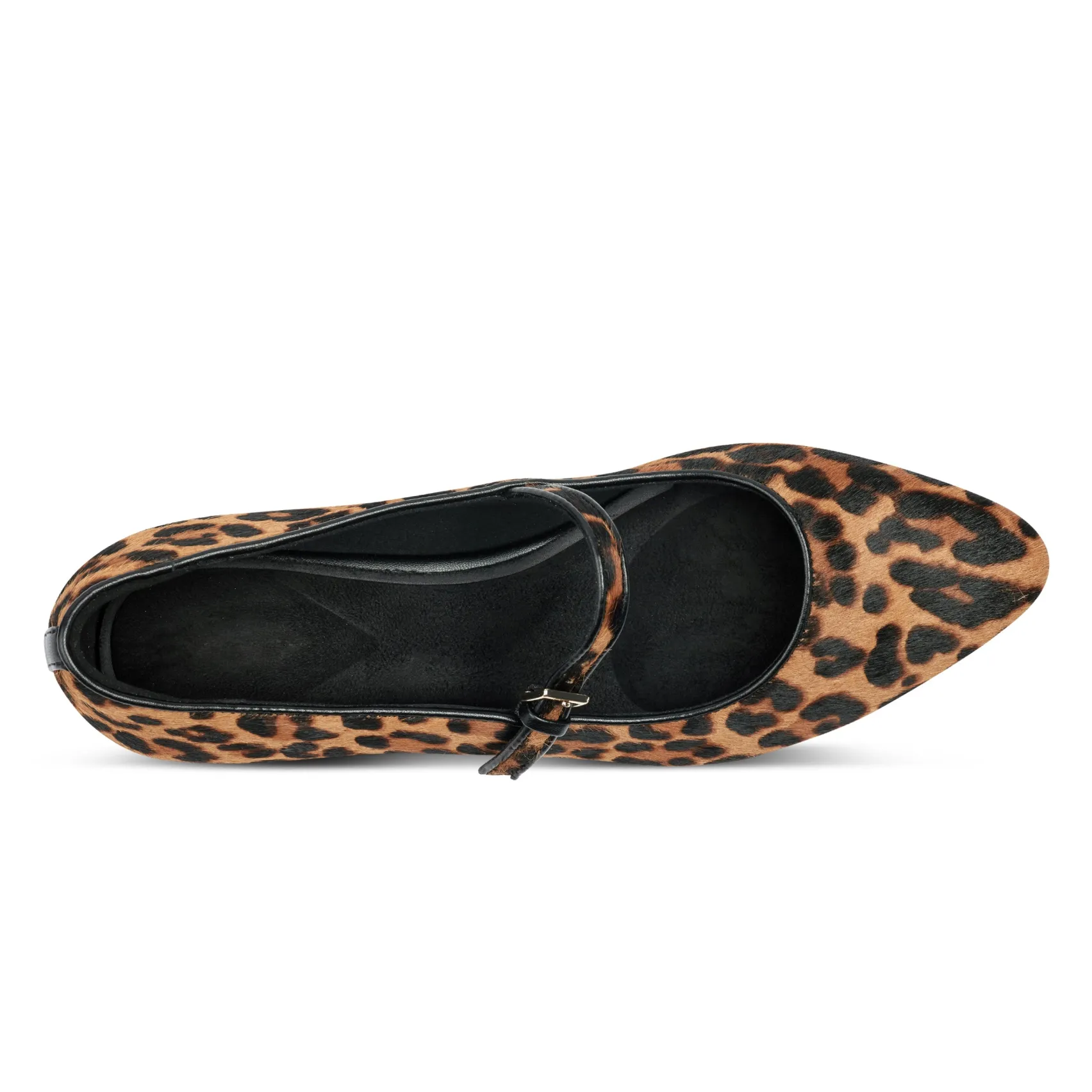 Women's Taren Total Motion Pointy Toe Dress Flats